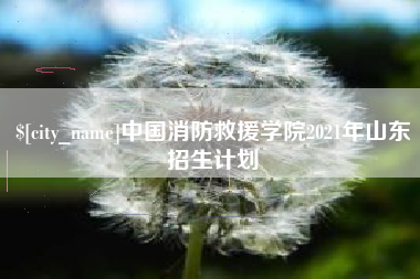 黄骅中国消防救援学院2021年山东招生计划