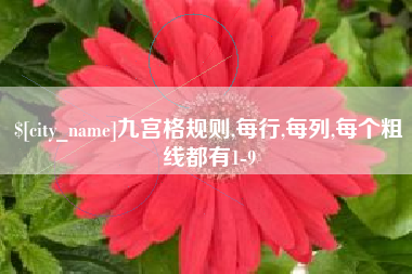 黄骅九宫格规则,每行,每列,每个粗线都有1-9