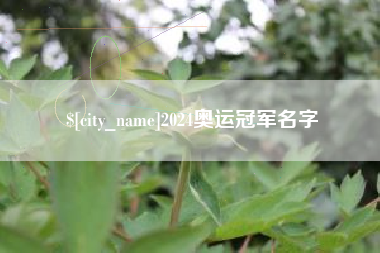 黄骅2024奥运冠军名字