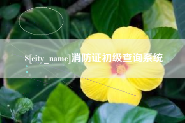 黄骅消防证初级查询系统
