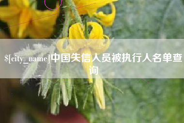 黄骅中国失信人员被执行人名单查询