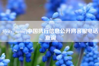 黄骅中国执行信息公开网客服电话查询