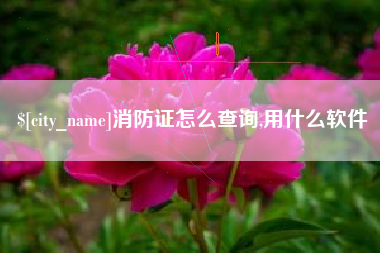 黄骅消防证怎么查询,用什么软件