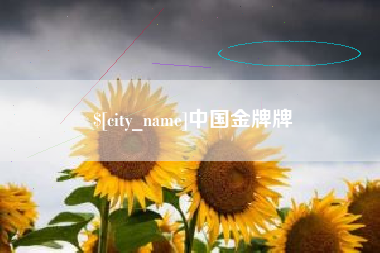 黄骅中国金牌牌