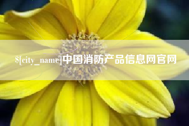 黄骅中国消防产品信息网官网
