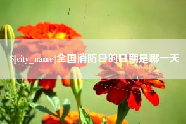 黄骅全国消防日的日期是哪一天