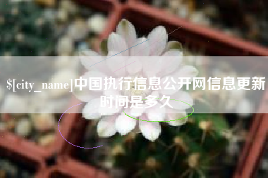 黄骅中国执行信息公开网信息更新时间是多久