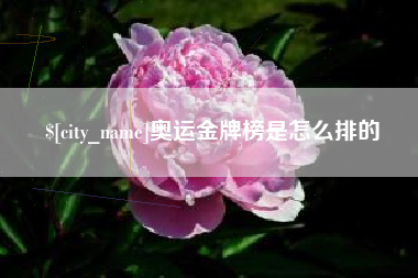 黄骅奥运金牌榜是怎么排的