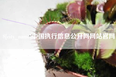 黄骅中国执行信息公开网网站官网