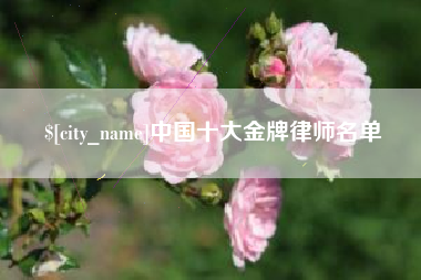 黄骅中国十大金牌律师名单