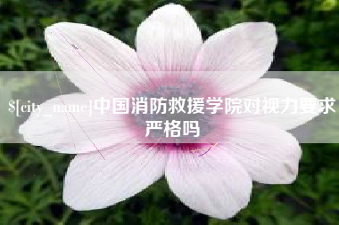 黄骅中国消防救援学院对视力要求严格吗