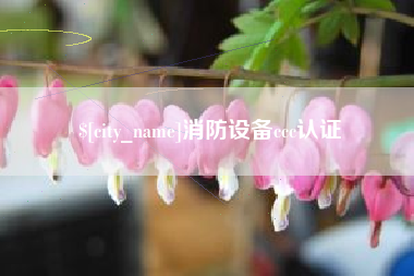 黄骅消防设备ccc认证