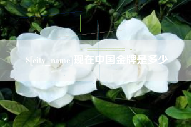 黄骅现在中国金牌是多少