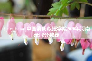 黄骅中国消防救援学院2020年河南录取分数线