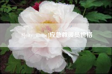 黄骅应急救援员价格