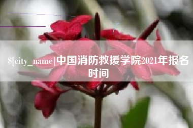 黄骅中国消防救援学院2021年报名时间