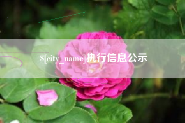 黄骅执行信息公示