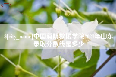 黄骅中国消防救援学院2021年山东录取分数线是多少
