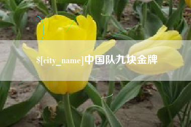 黄骅中国队九块金牌