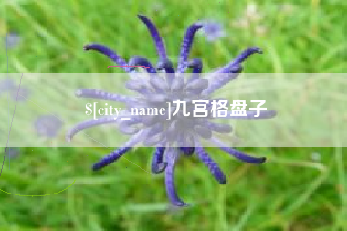 黄骅九宫格盘子