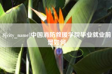 黄骅中国消防救援学院毕业就业前景如何