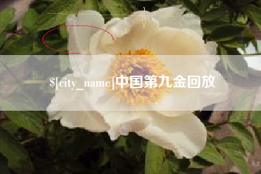 黄骅中国第九金回放