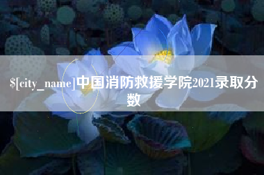 黄骅中国消防救援学院2021录取分数