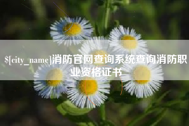 黄骅消防官网查询系统查询消防职业资格证书