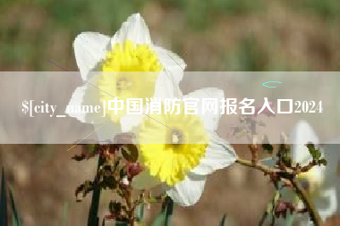 黄骅中国消防官网报名入口2024
