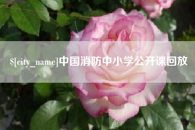 黄骅中国消防中小学公开课回放