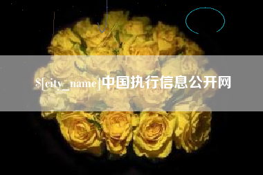 黄骅中国执行信息公开网
