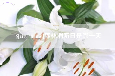 黄骅森林消防日是哪一天