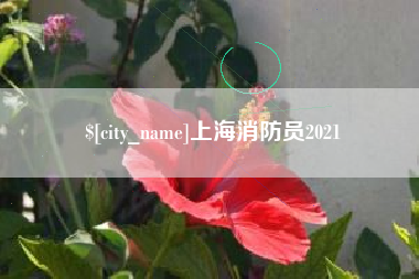 黄骅上海消防员2021