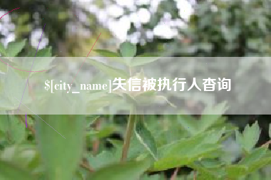 黄骅失信被执行人杳询