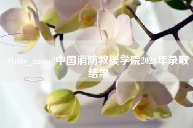 黄骅中国消防救援学院2020年录取结果