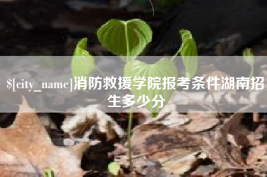 黄骅消防救援学院报考条件湖南招生多少分
