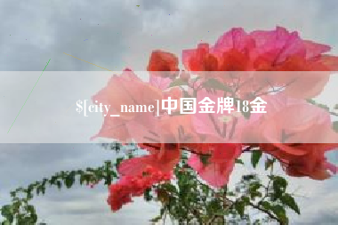 黄骅中国金牌18金