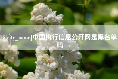 黄骅中国执行信息公开网是黑名单吗