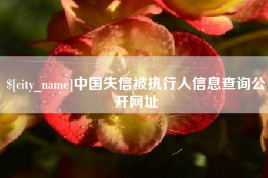 黄骅中国失信被执行人信息查询公开网址