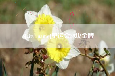 黄骅奥运会39块金牌