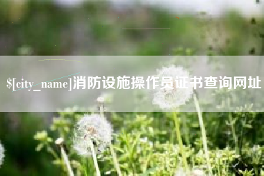 黄骅消防设施操作员证书查询网址