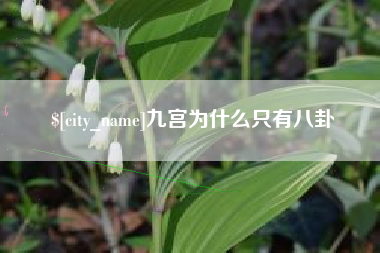 黄骅九宫为什么只有八卦
