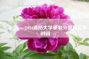 黄骅2024消防大学录取分数线公布时间