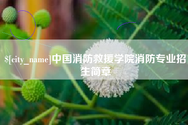黄骅中国消防救援学院消防专业招生简章