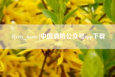 黄骅中国消防公众号app下载