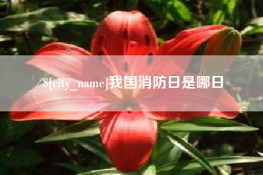 黄骅我国消防日是哪日