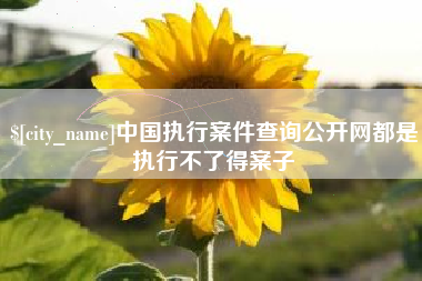 黄骅中国执行案件查询公开网都是执行不了得案子