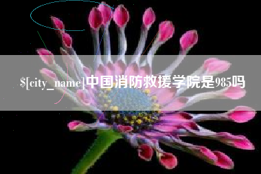 黄骅中国消防救援学院是985吗