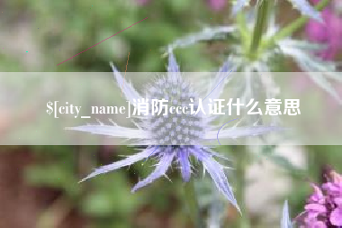 黄骅消防ccc认证什么意思