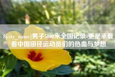 黄骅男子5000米全国记录-更是承载着中国田径运动员们的热血与梦想